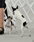 Enlarge photo 16