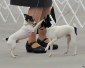 Enlarge photo 17