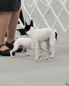Enlarge photo 19