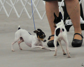 Enlarge photo 21