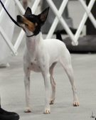 Enlarge photo 24