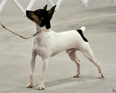 Enlarge photo 31