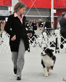 Enlarge photo 32