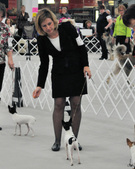 Enlarge photo 36