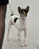 Enlarge photo 41