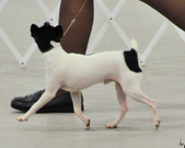 Enlarge photo 40