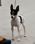 Enlarge photo 43