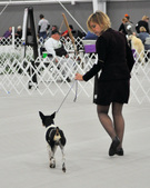 Enlarge photo 45