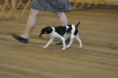 Enlarge photo 13