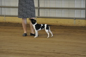 Enlarge photo 14
