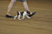 Enlarge photo 19