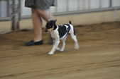 Enlarge photo 21