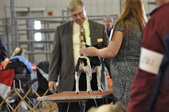 Enlarge photo 22