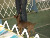 Enlarge photo 14
