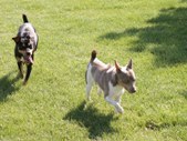 Enlarge photo 10