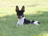 Enlarge photo 16