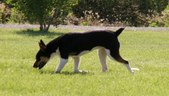Enlarge photo 19