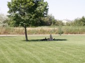 Enlarge photo 26