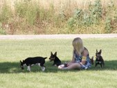 Enlarge photo 28
