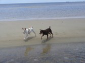 Enlarge photo 15