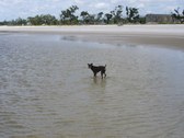 Enlarge photo 16