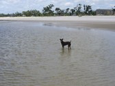 Enlarge photo 18