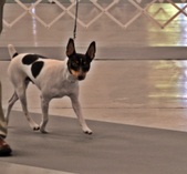 Enlarge photo 14