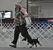 Enlarge photo 15