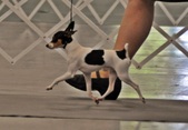 Enlarge photo 30