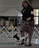 Enlarge photo 47