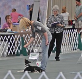 Enlarge photo 55