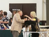 Enlarge photo 11
