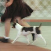 Enlarge photo 19