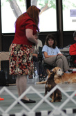 Enlarge photo 46