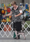 Enlarge photo 26