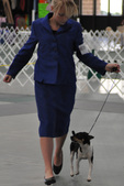 Enlarge photo 35
