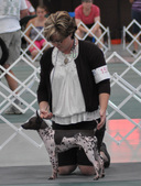 Enlarge photo 62