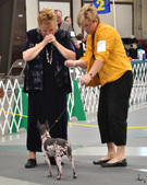 Enlarge photo 17