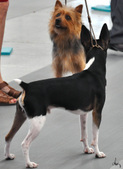 Enlarge photo 38