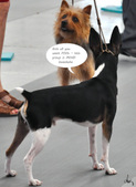 Enlarge photo 39