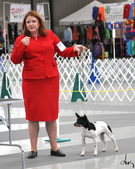 Enlarge photo 41