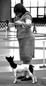 Enlarge photo 42