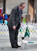Enlarge photo 57