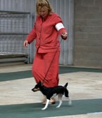 Enlarge photo 16