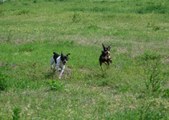 Enlarge photo 51