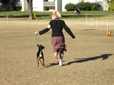 Enlarge photo 8