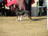 Enlarge photo 9