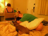 Enlarge photo 37