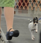 Enlarge photo 2
