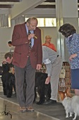 Enlarge photo 17